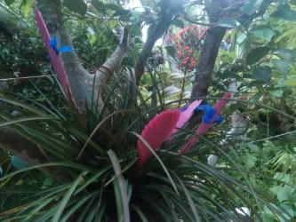 Thumbnail img 20180813 071126 1